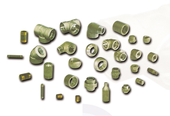 Forged Steel Socket Welding & Screw Fittings & Pipe Nipples